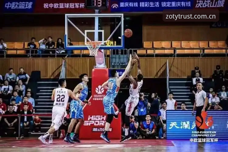 中欧体育平台深度评测：一位老用户眼中的国际体育赛事投注平台